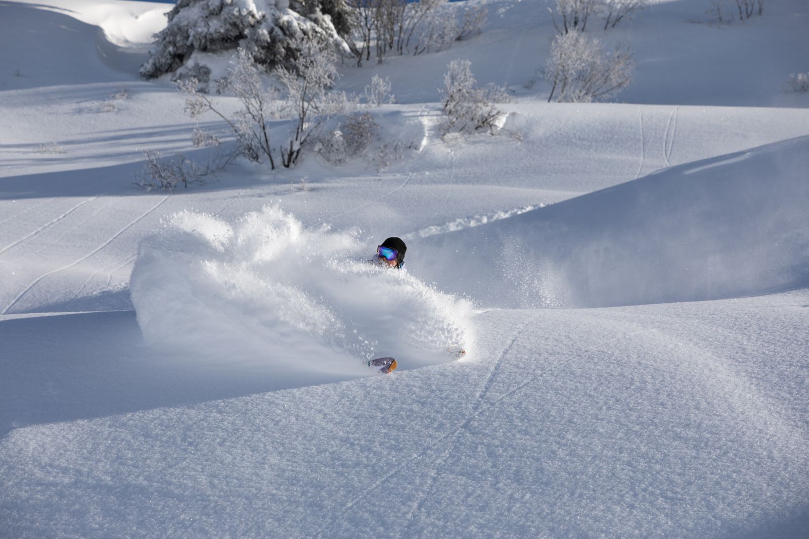 Skier in deep powder snow
