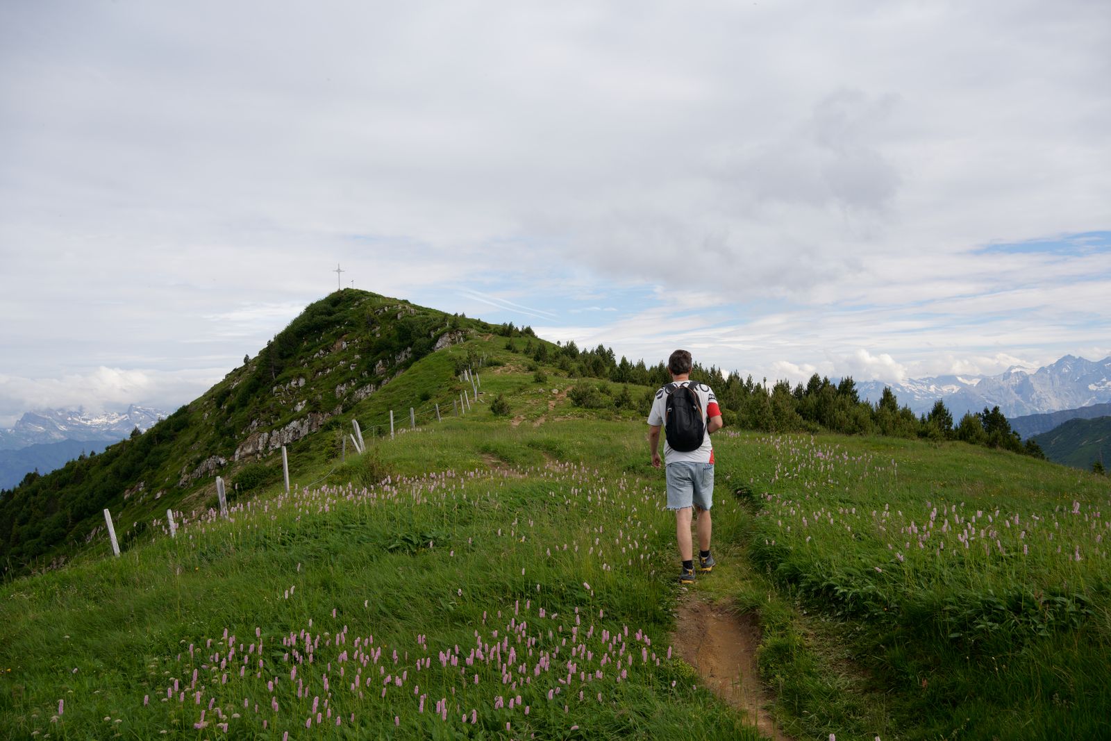 The trail above Fish Creek in July