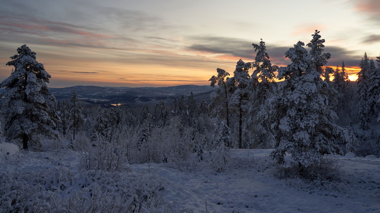 Winter sunset over snowy forest