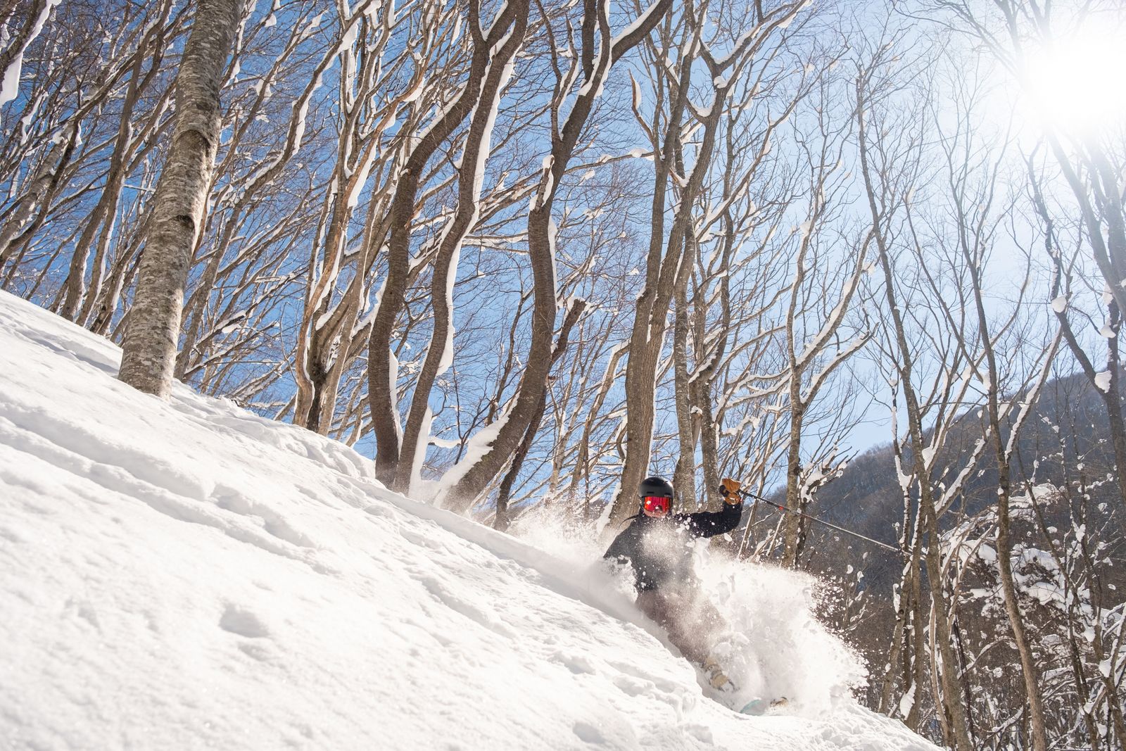 Skiing through trees in deep snow
