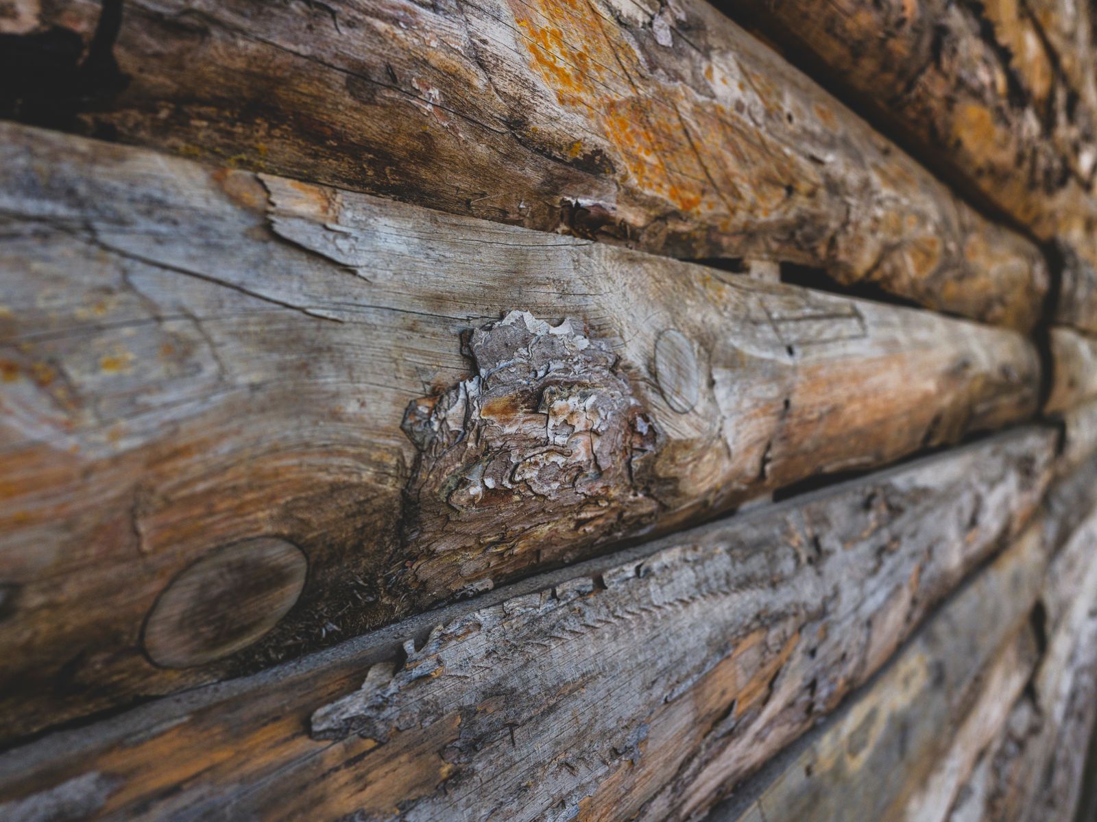Close-up of a timber wall at the lodge